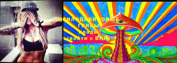 марки lsd Богородицк